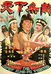 THE SUPER KUNG FU FIGHTER