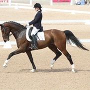 Competed at the National Level