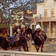 Pack Mules Through Nature's Wonderland (1960-1973)