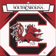 Williams-Brice Stadium