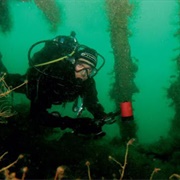 Island Divers Guernsey