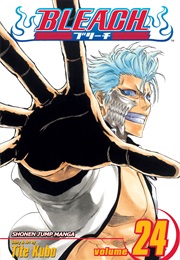 Bleach Volume 24 (Tite Kubo)