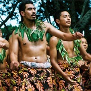 Pasifika Festival