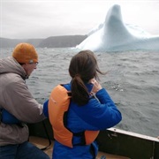 Iceberg Watching