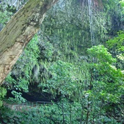 Fern Grotto, Kaua'i, Hawai'i