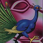 Peacock (Yu-Gi-Oh)