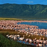 Great Rift Valley, Kenya