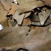 Ispinku (Ocotea Quixos)