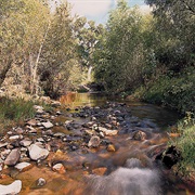 Sonoita Creek State Natural Area, Arizona