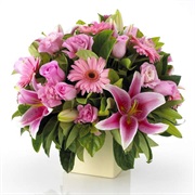 Learn Flower Arrangements