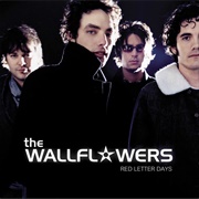 The Wallflowers - Red Letter Days
