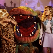 The Goldbergs: Stefan King