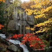 Gatineau Park, Quebec