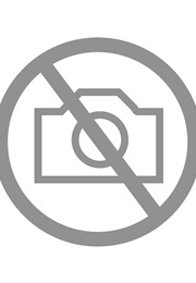 The Speech on 14th Congress of the All-Union Communist Party (Lev Kamenev)