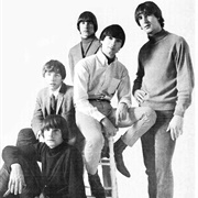 Hey Joe - The Leaves