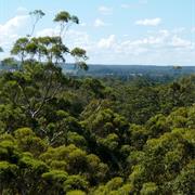 Brockman National Park (WA)