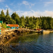 God's Pocket - Canada