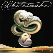 Whitesnake : Trouble