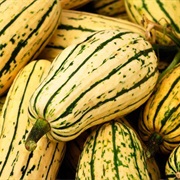 Delicata Squash