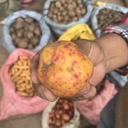 Olluco (Ullucus Tuberosus)