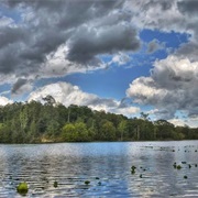 Mason Neck State Park, Virginia