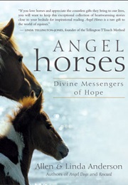 Angel Horses
