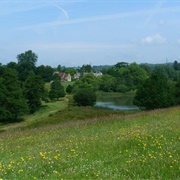 Woolbeding Countryside