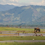 Udawalawe National Park