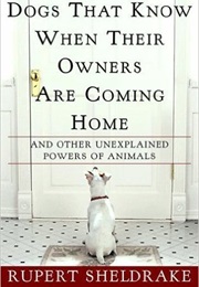 Dogs That Know When Their Owners Are Coming Home (Rupert Sheldrake)
