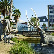 The La Brea Tar Pits and Museum