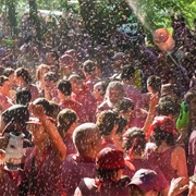 San Vino Wine Fight, Spain
