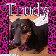 Trudy