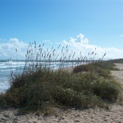 Fort Pierce Inlet State Park, Florida