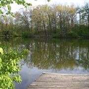 Weldon Springs State Park, Illinois