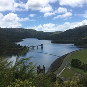 Lower Mangatawhiri Campground