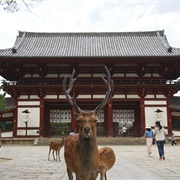 Nara