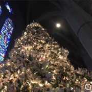 Origami Tree of Hope (Christmas), San Francisco