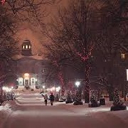 Had Weird Adventures at Unreasonable Hours of the Night