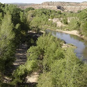 Verde River Greenway State Natural Area, Arizona
