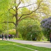 Kampa Park, Prague