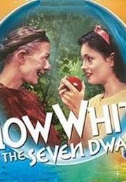 Snow White and the 7 Dwarfs