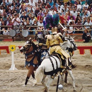 Kaltenberger Jousting Tournament
