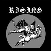 Rising - Metal Bird