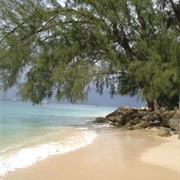Folkestone Marine Park, Barbados