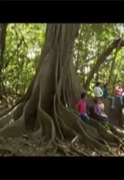 Education for a Sustainable Future (2012)