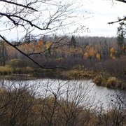 Sturgeon River State Forest, Minnesota
