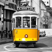 Tram 28