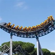 Velikolukskiy Myasokombinat-2 (Wonder Island, Russia)