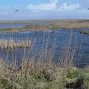 Cley Marshes
