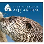 Living Planet Aquarium
